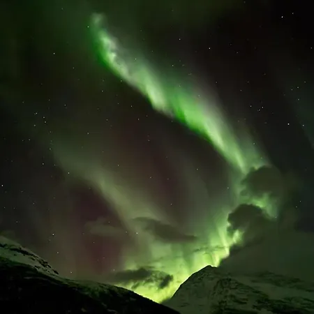 Lägenhet View In - Northern Lights, Mountains, Quiet